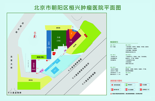 操屄日逼北京市朝阳区桓兴肿瘤医院平面图